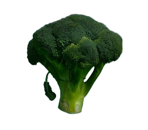 生命包手机 14 Pro